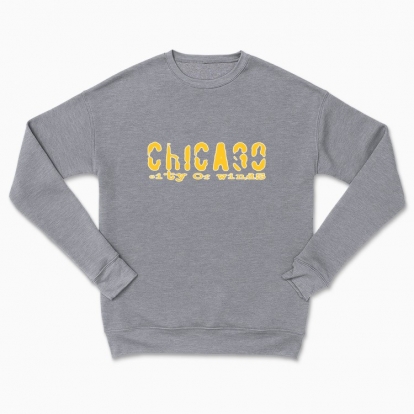Сhildren's sweatshirt "chicago windy city"