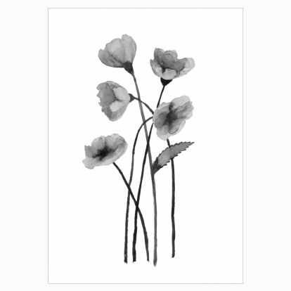 Poster "Ink flowers"