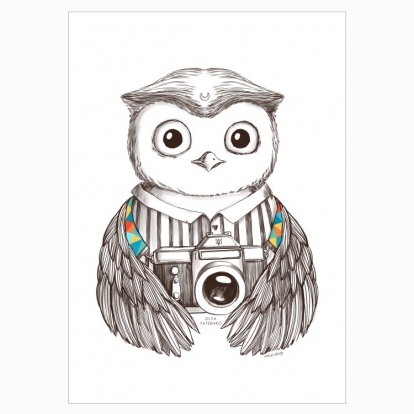 Poster "The Owl Photographer"