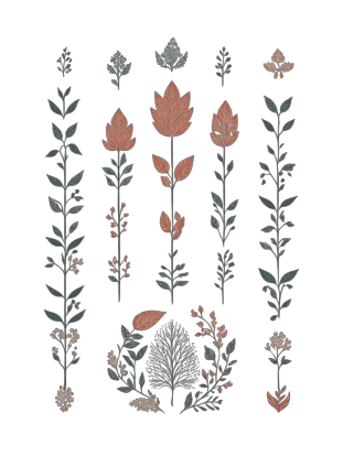 Жіноча худі "Квіти Мінімалізм Хюгге #3 / Принт в скандинавському стилі"