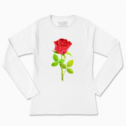 Women's long-sleeved t-shirt "Botany: rose"