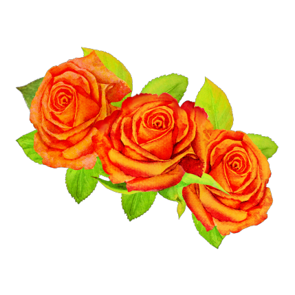Wreath: Orange roses