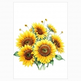 Poster "Bouquet of Sunflowers in Watercolor"