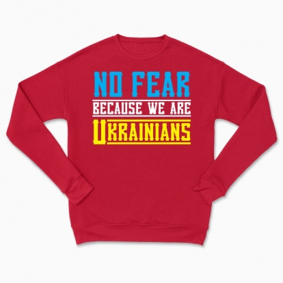 Сhildren's sweatshirt "NO FEAR"