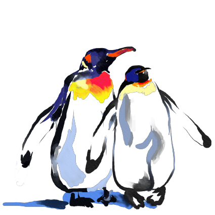 Emperor penguins. A symbol of family and love