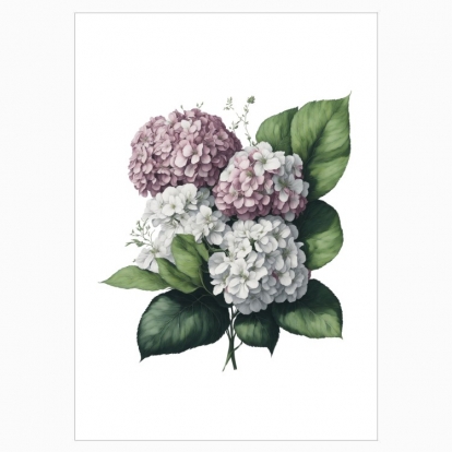 Poster "Flowers / Hydrangea bouquet / Pink hydrangeas"