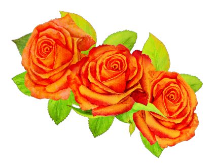 Вінок: Помаранчеві троянди