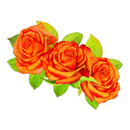 Вінок: Помаранчеві троянди
