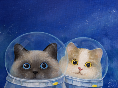 Дитячий світшот "Космічні котики"