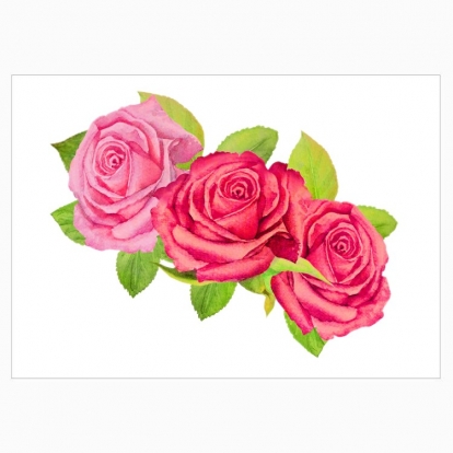 Poster "Wreath: Pink roses"