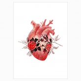 Постер "Серце"