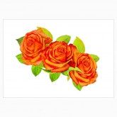 Poster "Wreath: Orange roses"