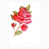 Постер "Кущ: гілка троянди"