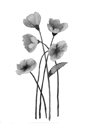 Дитячий світшот "Квіти тушшю"