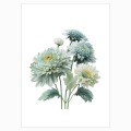 Luxurious bouquet of Chrysanthemums - 1