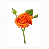 Poster "My flower: rose"