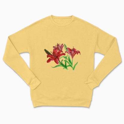 Сhildren's sweatshirt "Botany: Lily flowers"